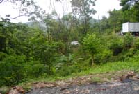 Es geht auf nach Treasure mit George als Scout